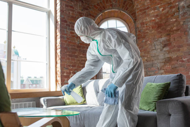 Reliable Lawson Heights, PA Mold Removal Solutions